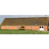 Algebehandling af tag fra Hvide Sande Tagrens